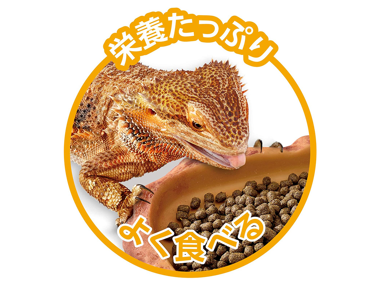 フトアゴブレンドフード　250ｇ(2)