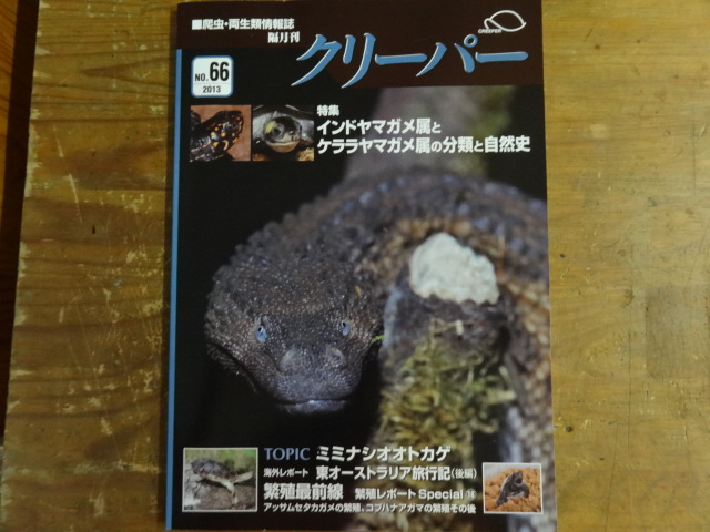 クリーパー No.66(1)