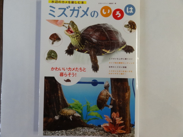 爬虫類ショップ サウリア大阪守口店 爬虫類専門誌 グッズ 販売