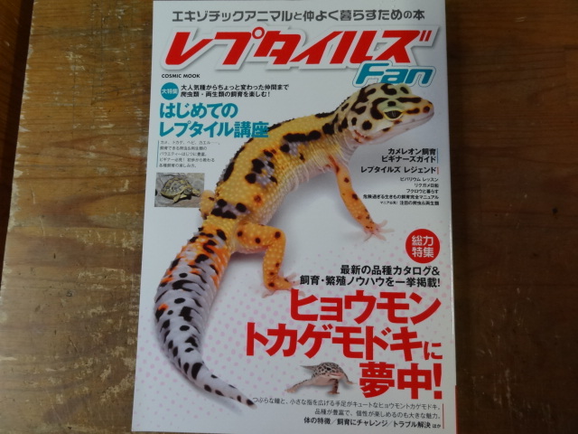 レプタイルズFan(1)