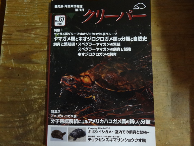 クリーパー No.67(1)