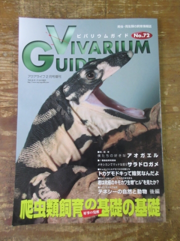 ビバリウムガイド No.72