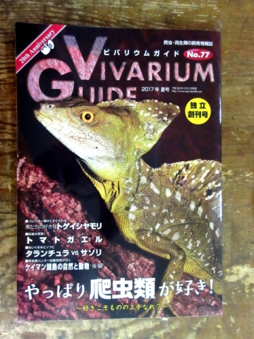 ビバリウムガイド No.77