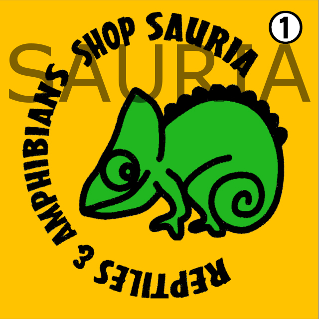 オリジナル爬虫類キーホルダー(2)