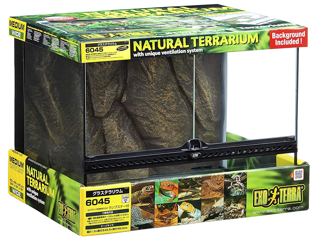 グラステラリウム 6045(1)