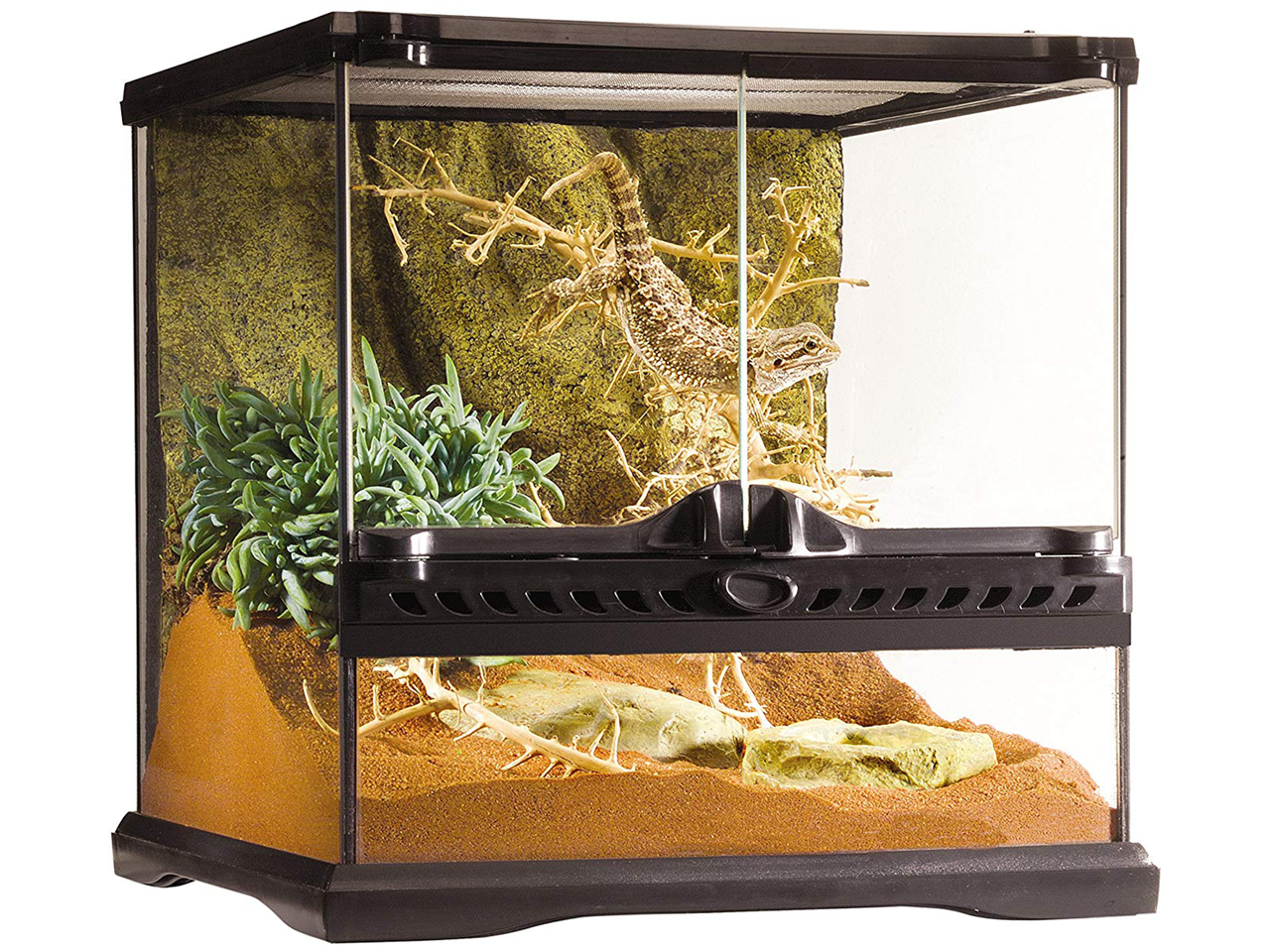 グラステラリウム　3030(2)