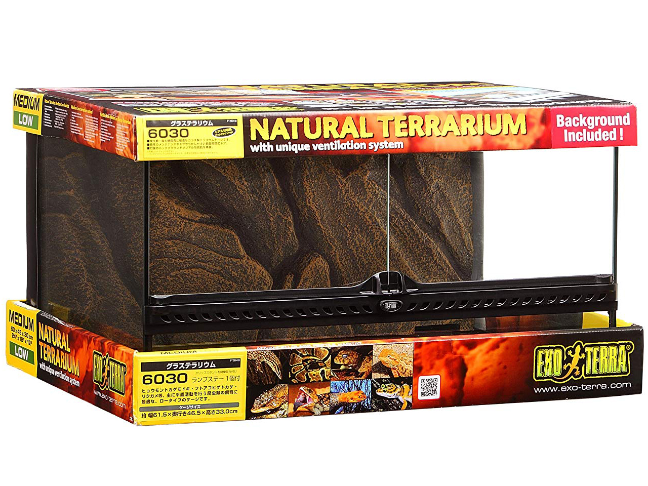 グラステラリウム　6030(1)