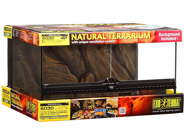 グラステラリウム　6030