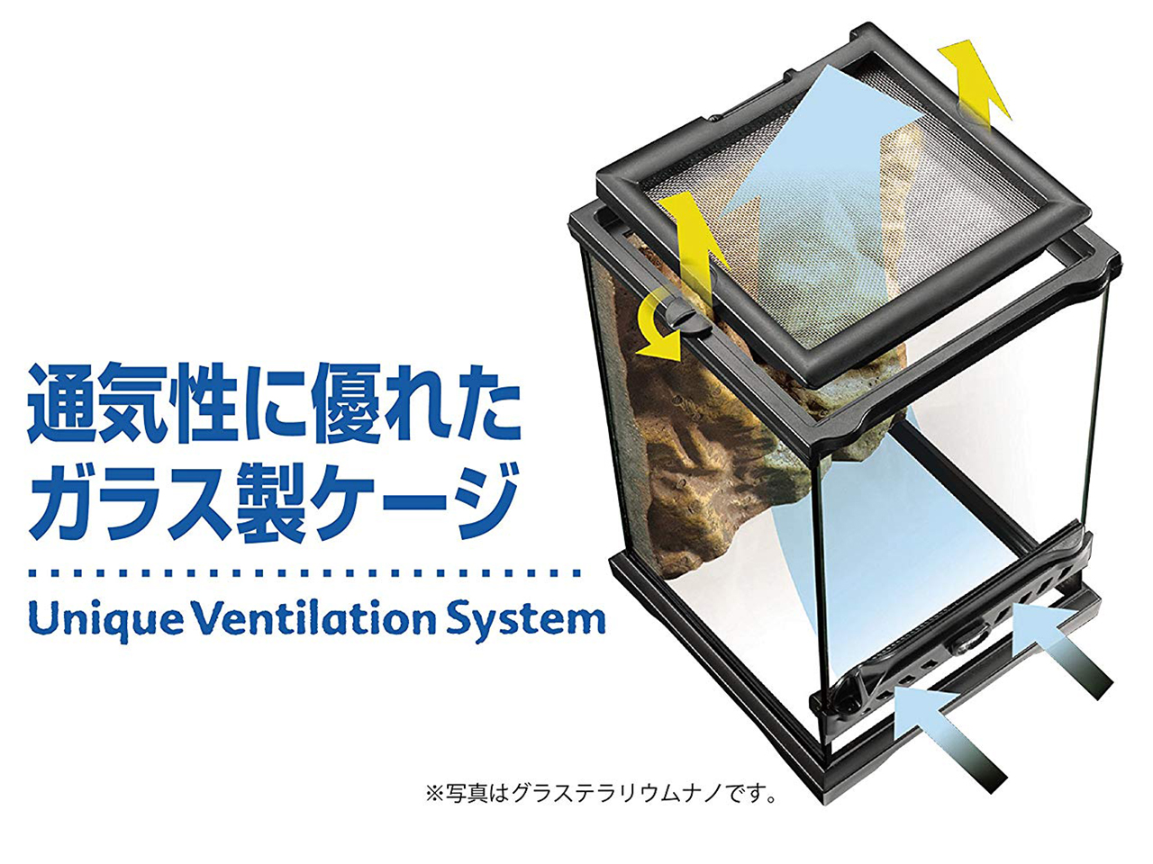 グラステラリウム 6045(4)