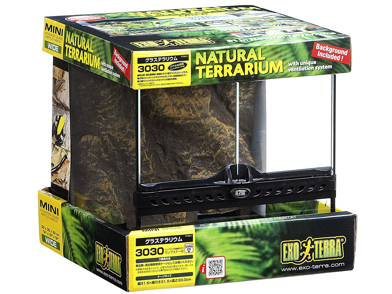 グラステラリウム　3030(1)