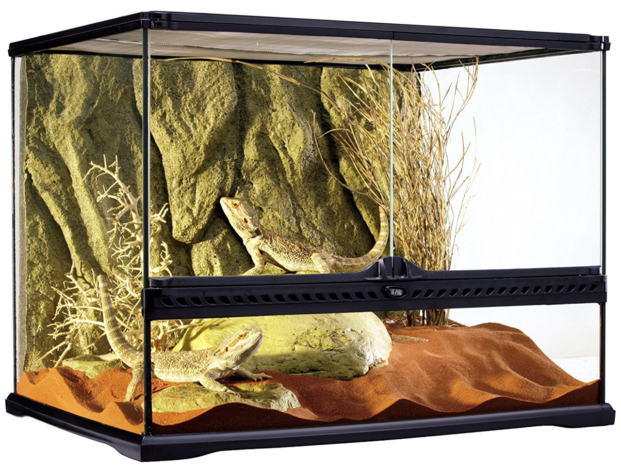 グラステラリウム 6045(2)