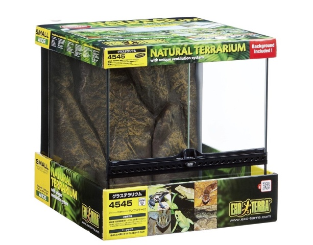 グラステラリウム　4545