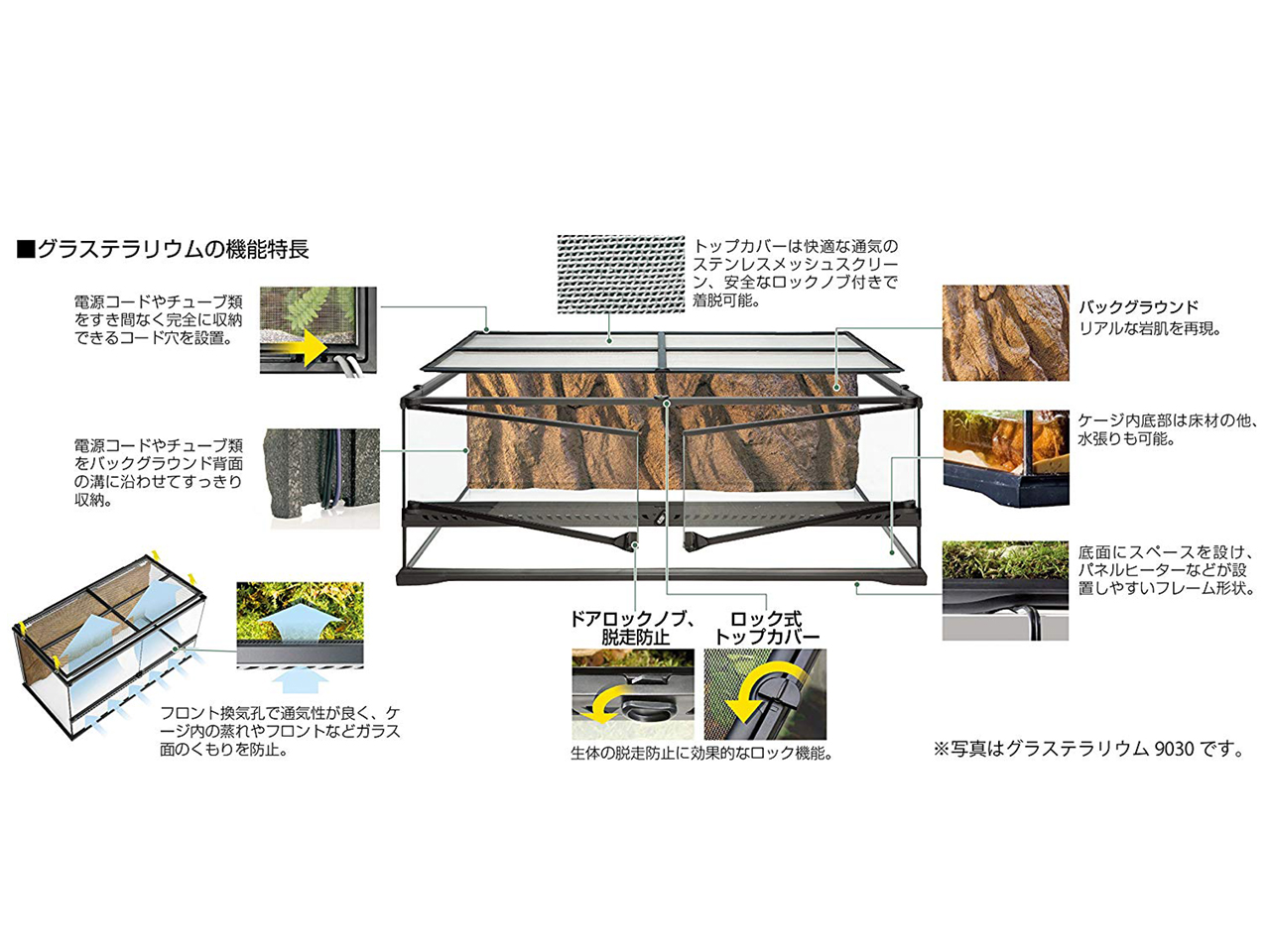 グラステラリウム 爬虫類両生類用ガラスケージ 岩肌背景付 - zimazw.org