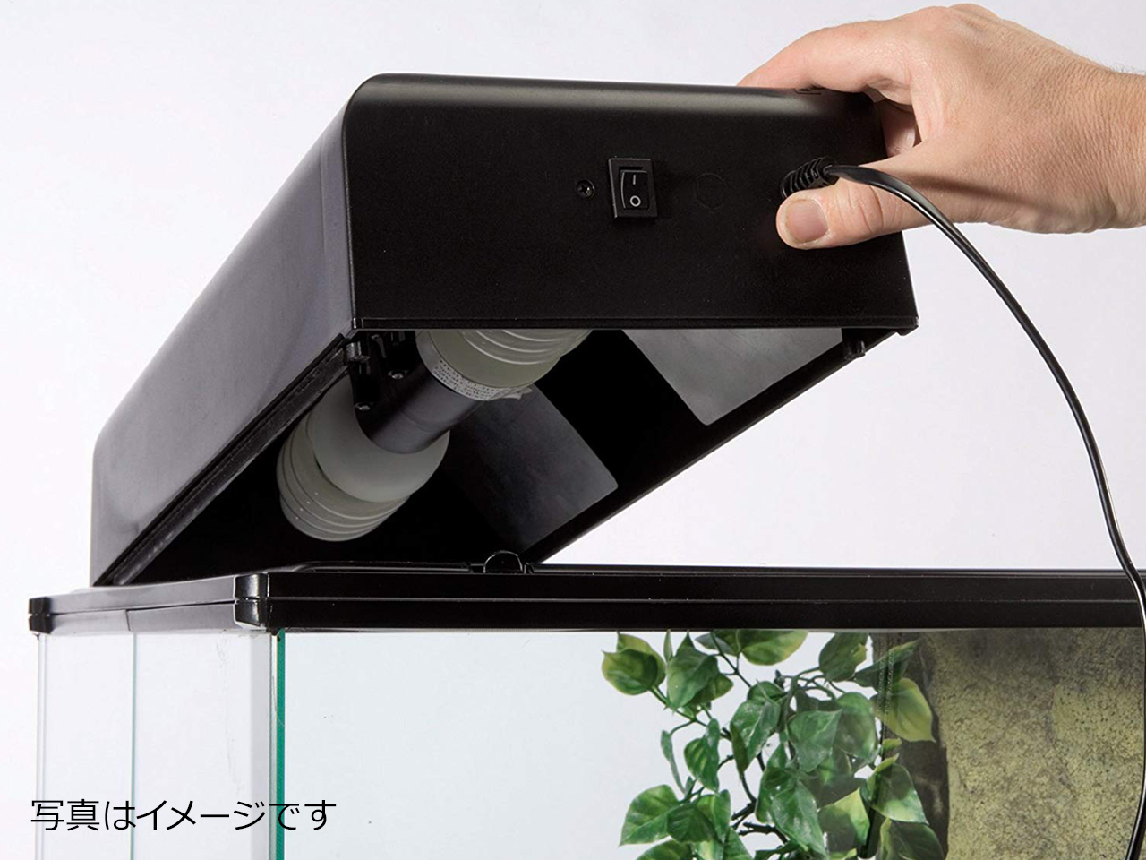 レプタイルUVB150　26W (4)