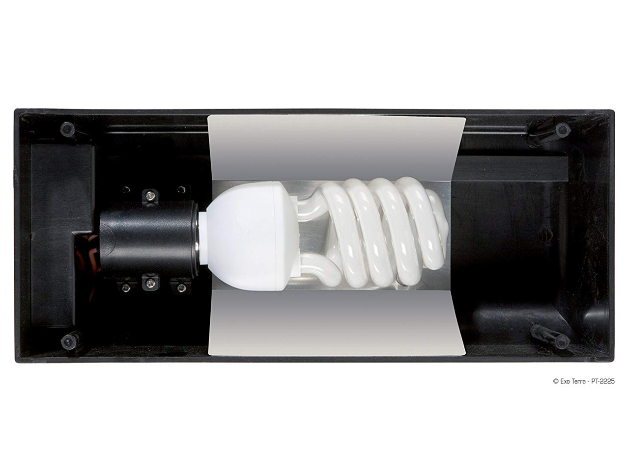 コンパクトトップ30(2)