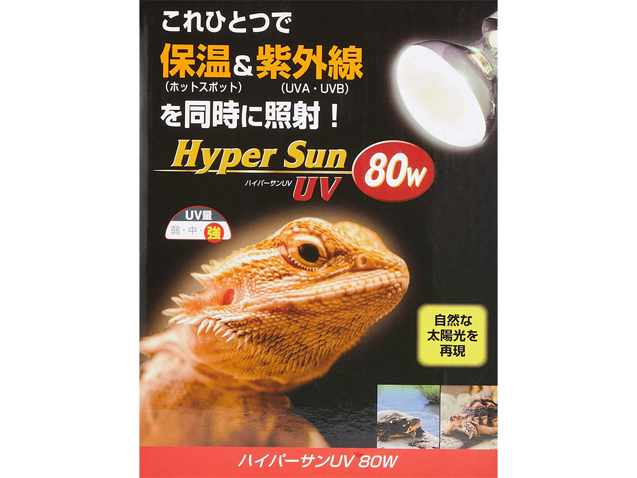 ハイパーサンUV　80W(1)