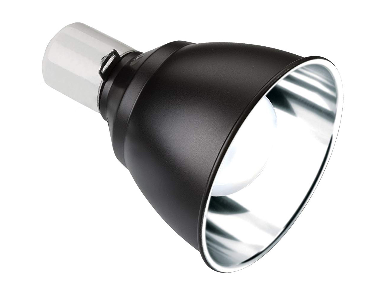 ライトドーム　18ｃｍ(2)