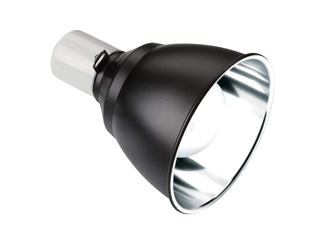 ライトドーム　14ｃｍ(2)