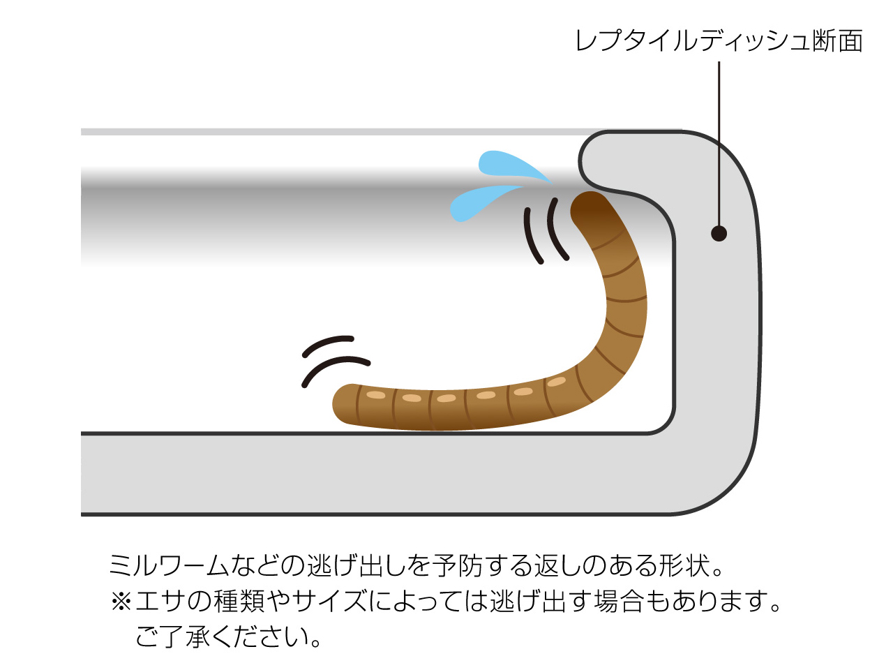 レプタイルディッシュS(6)