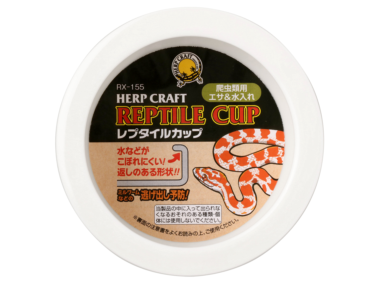 レプタイルカップ(2)