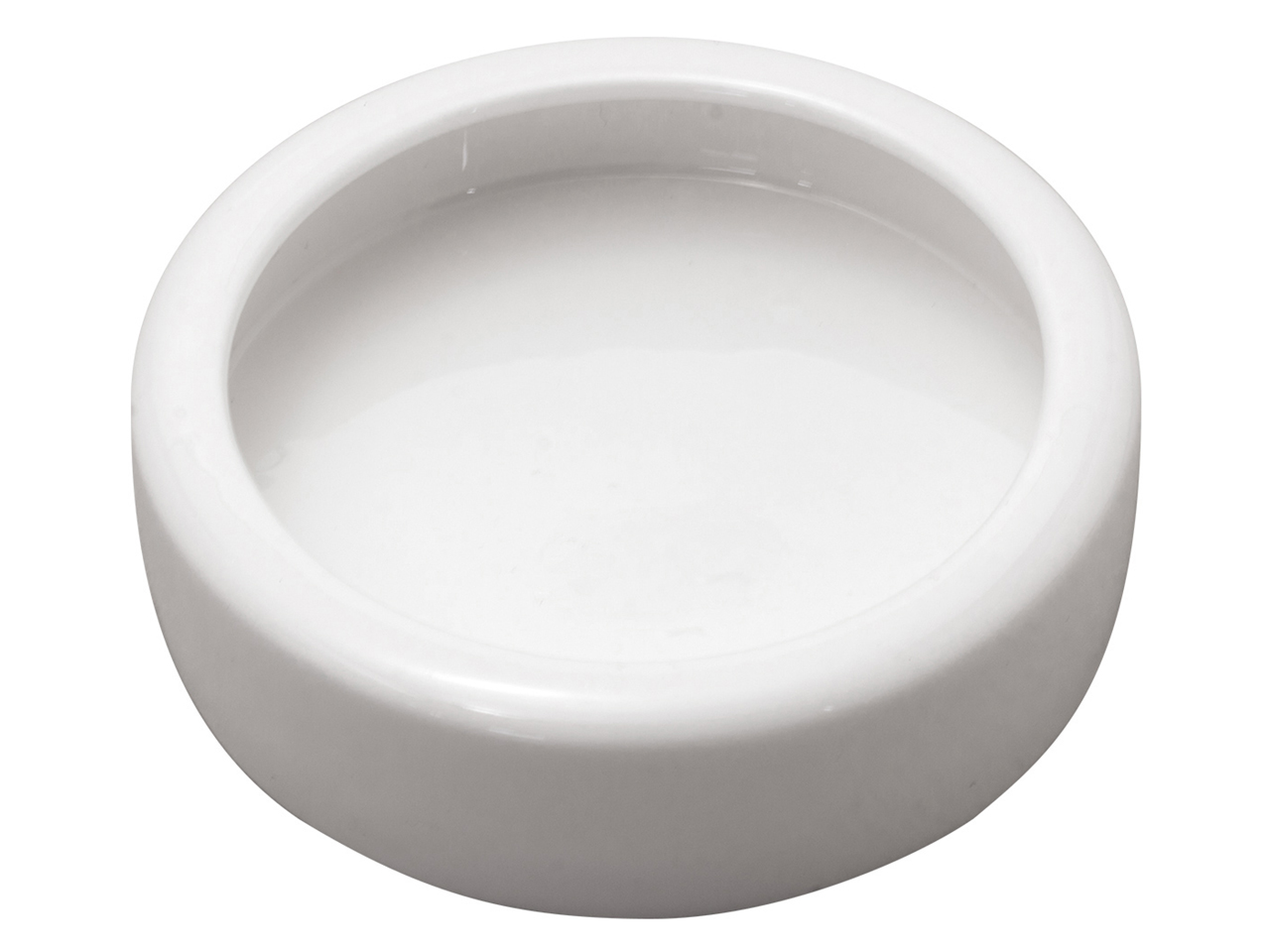 レプタイルディッシュL(5)