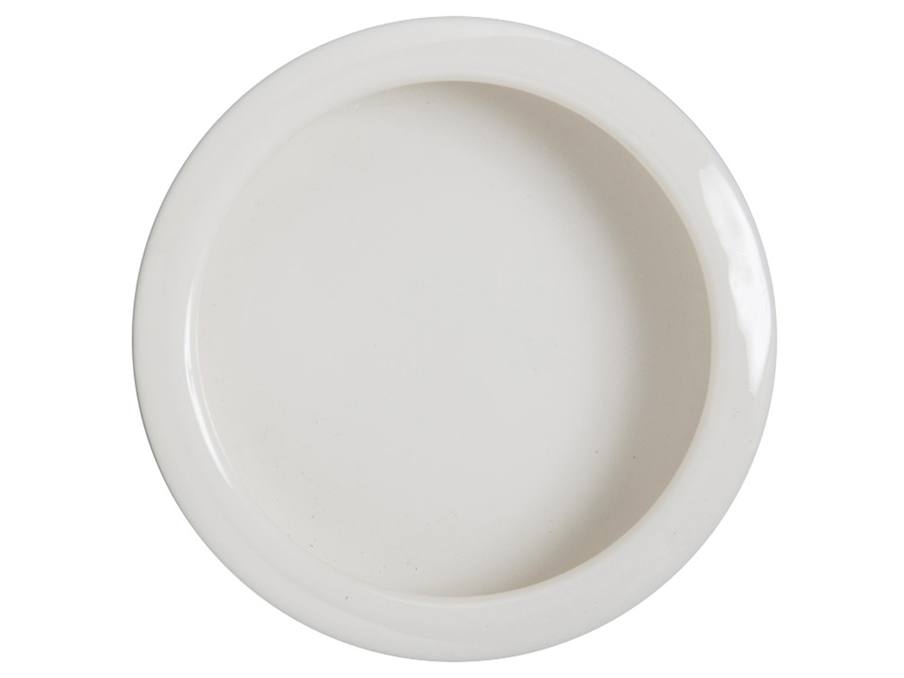 レプタイルディッシュS(3)