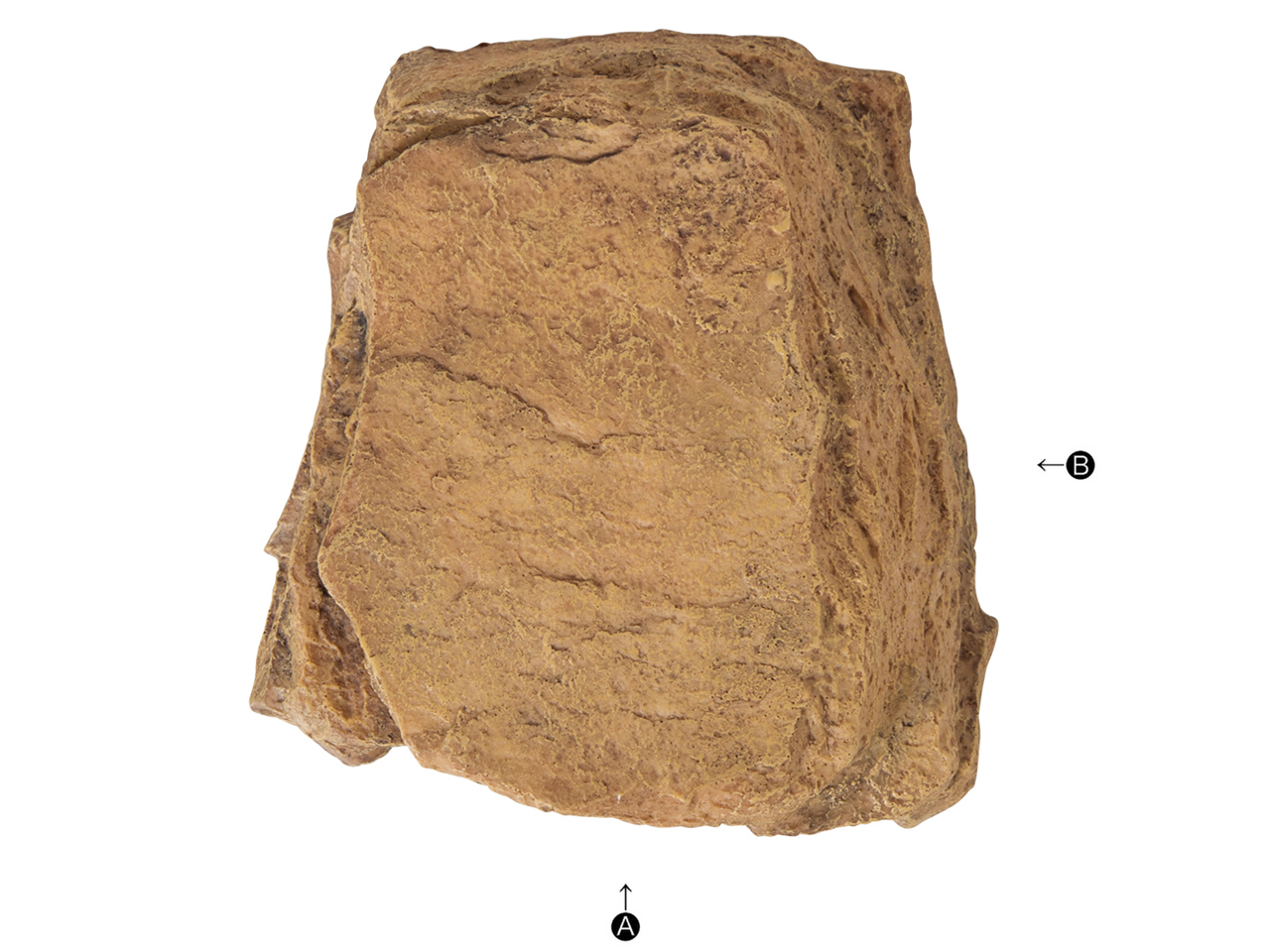 ロックシェルターSP M(2)