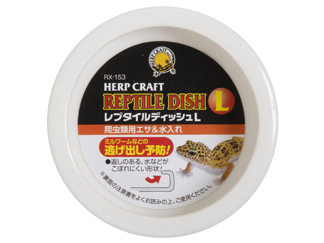 レプタイルディッシュL(2)