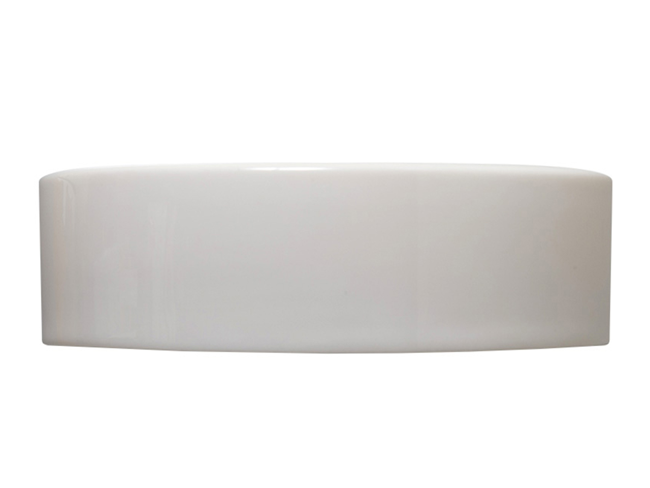 レプタイルディッシュL(4)