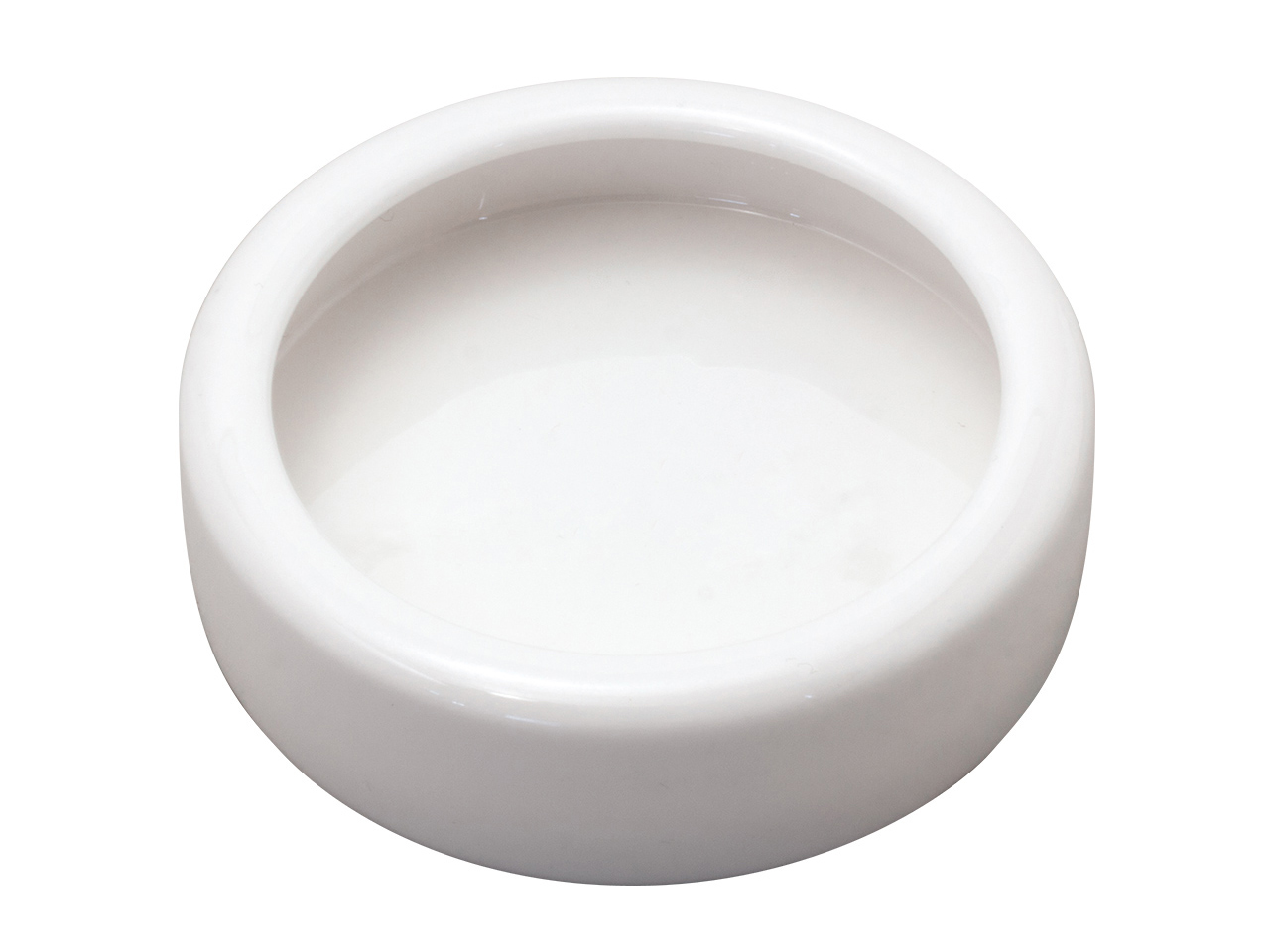 レプタイルディッシュS(5)