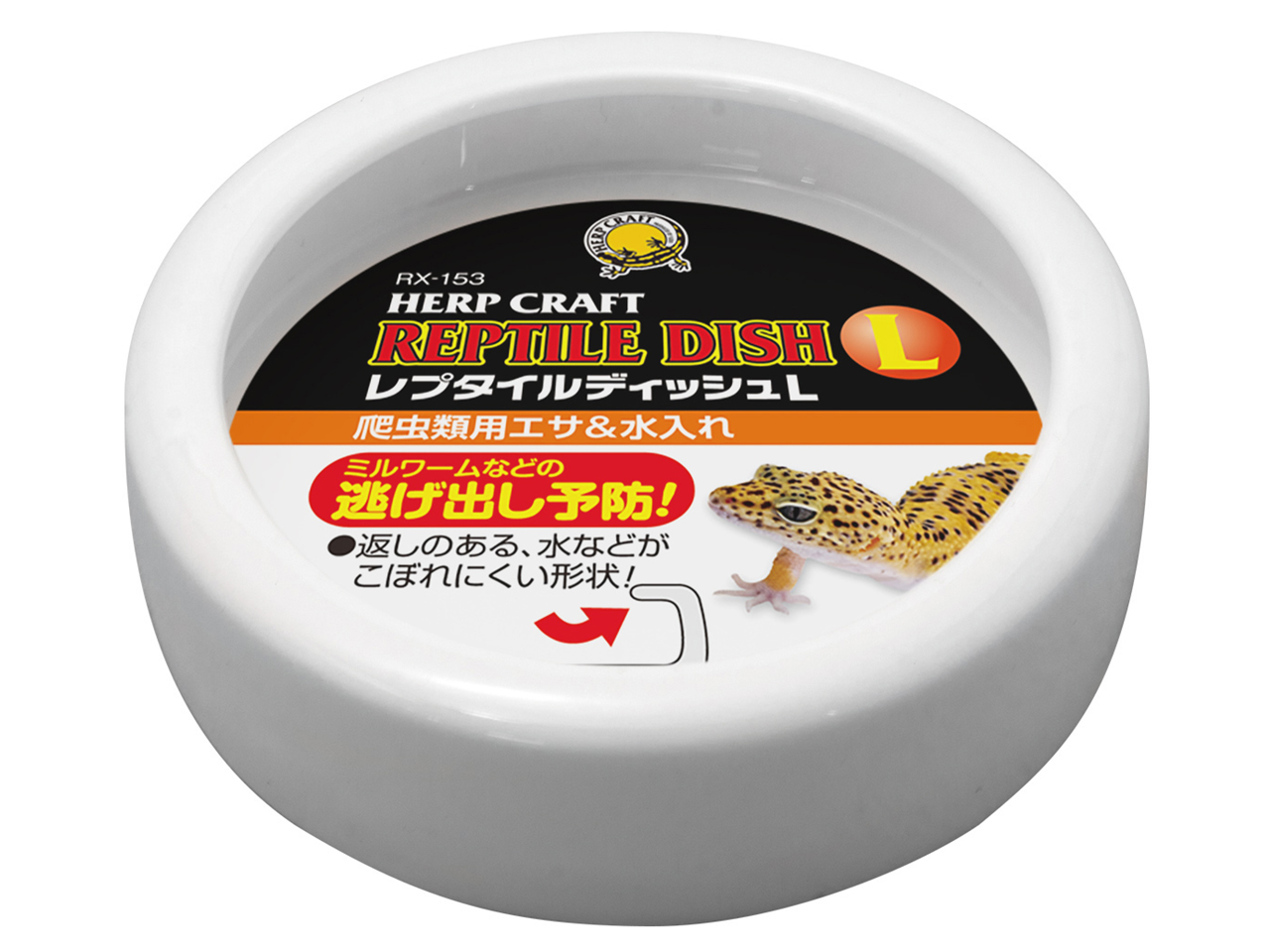 レプタイルディッシュL(1)