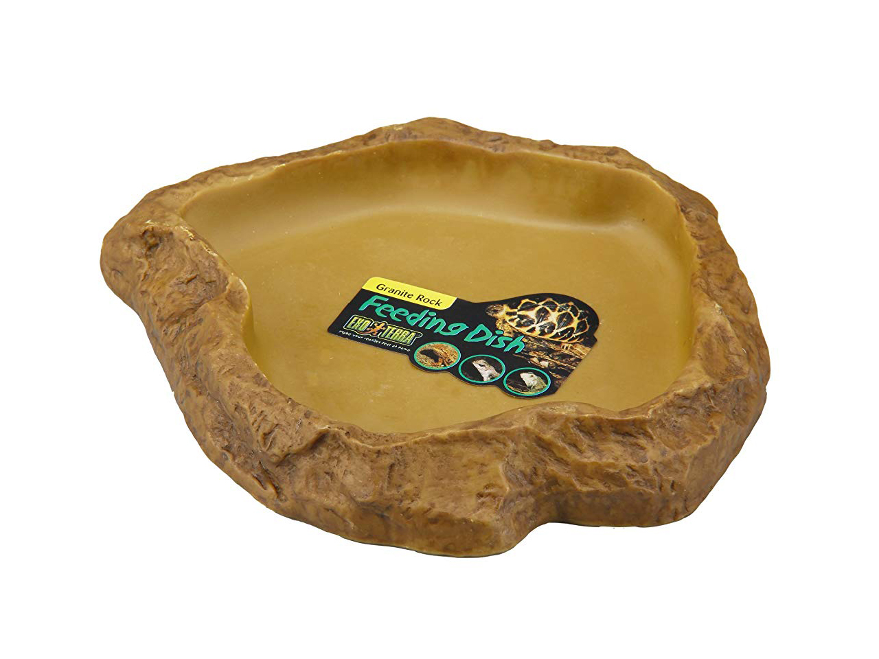 フィーディングディッシュ　M(1)