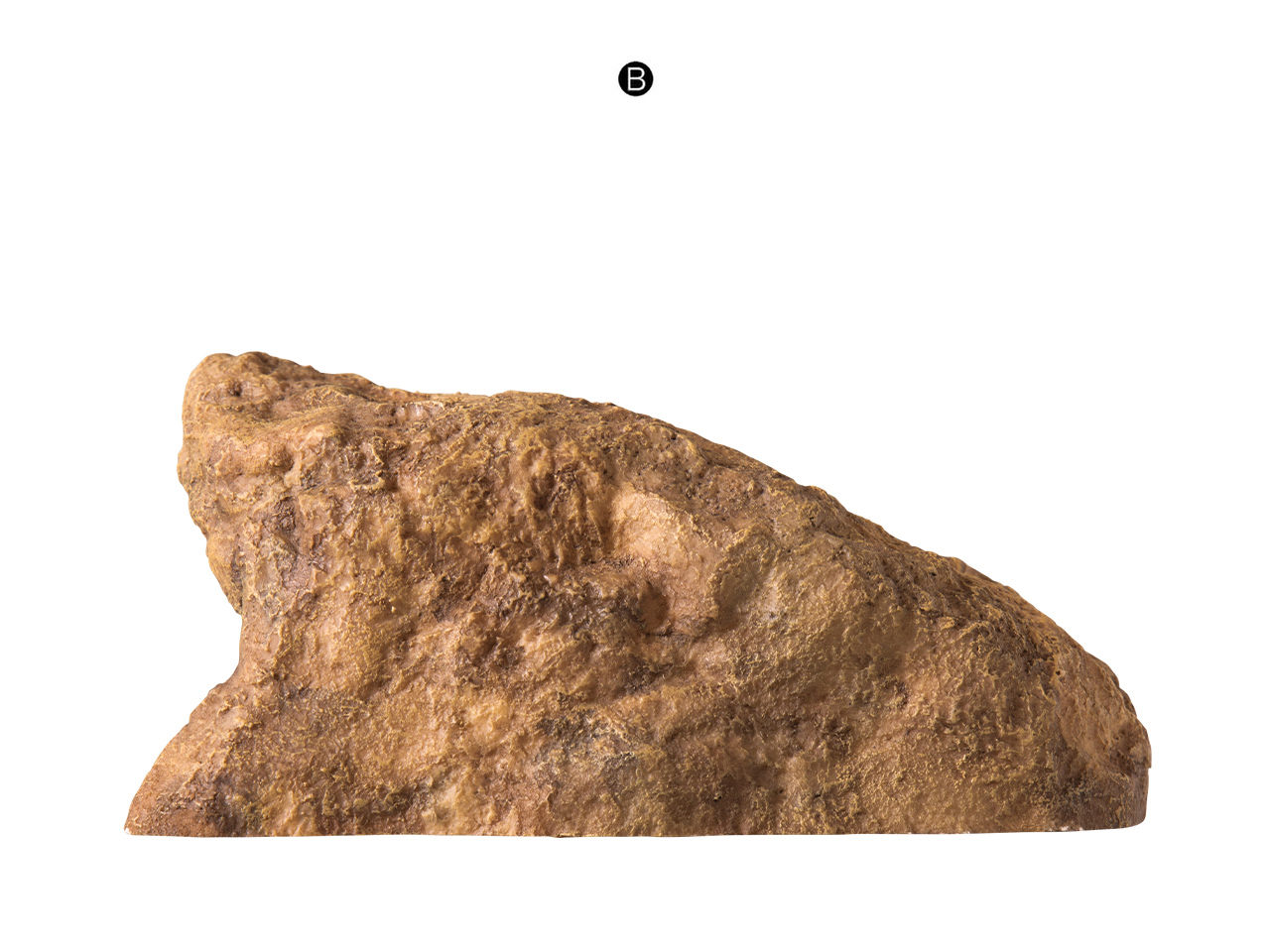 ロックシェルターSP ML(4)