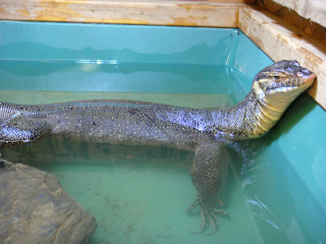 メルテンスモニター(3)