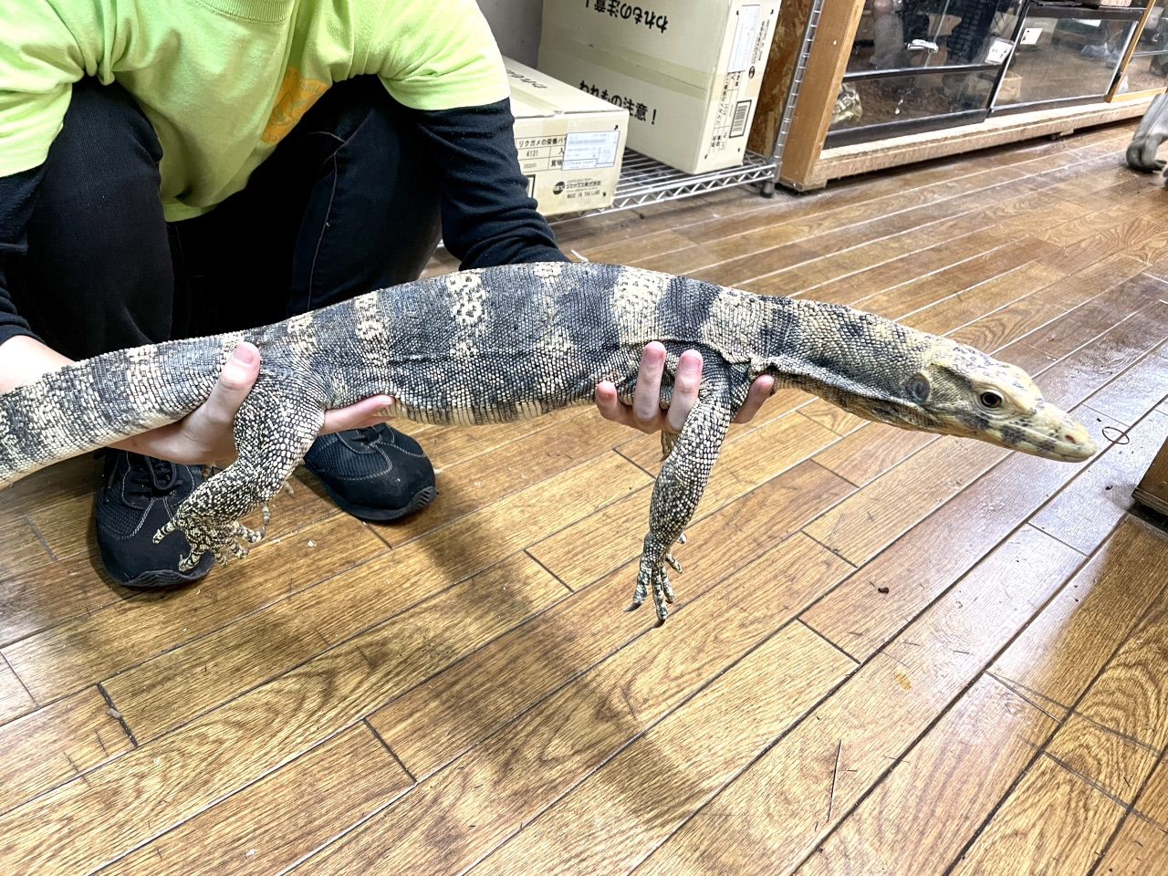 サルファモニター(5)