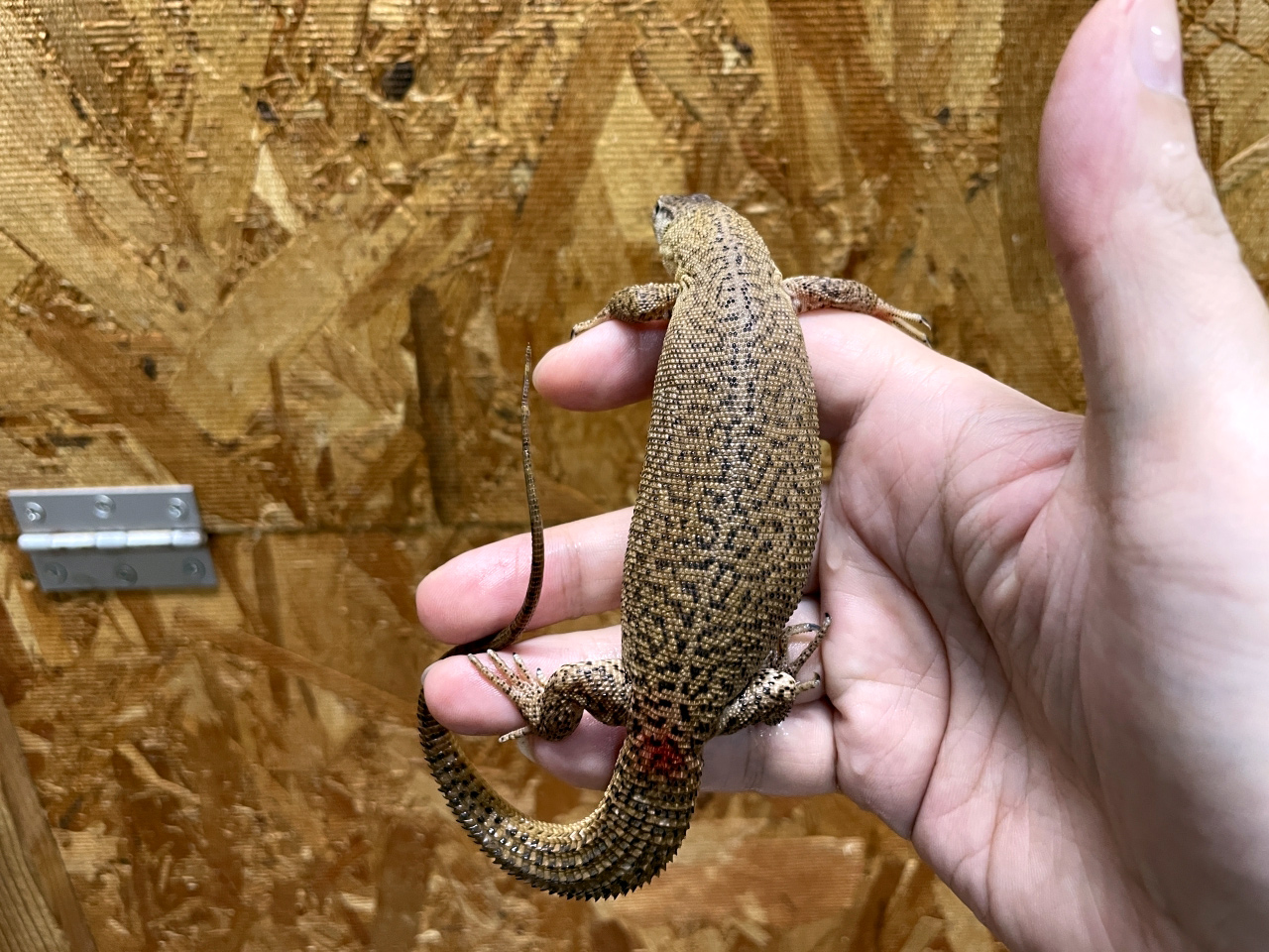 ストーリーモニター(2)