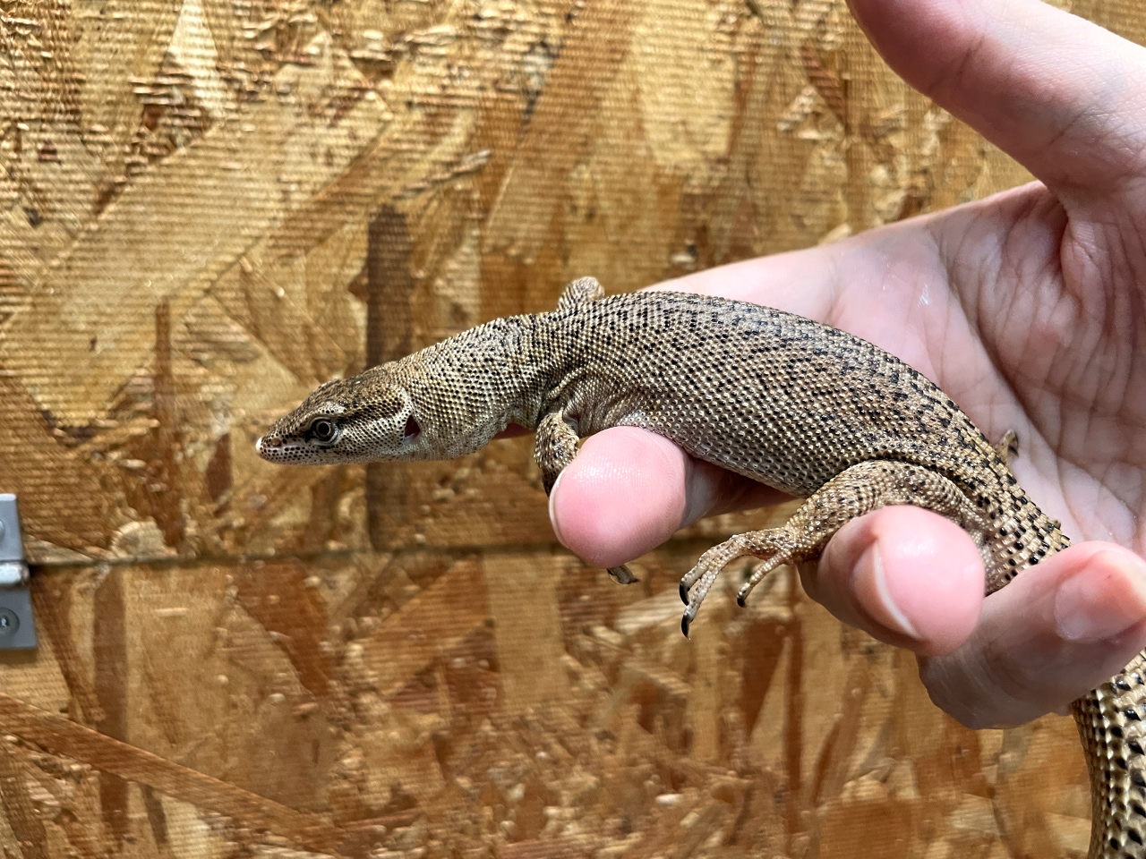 ストーリーモニター(3)