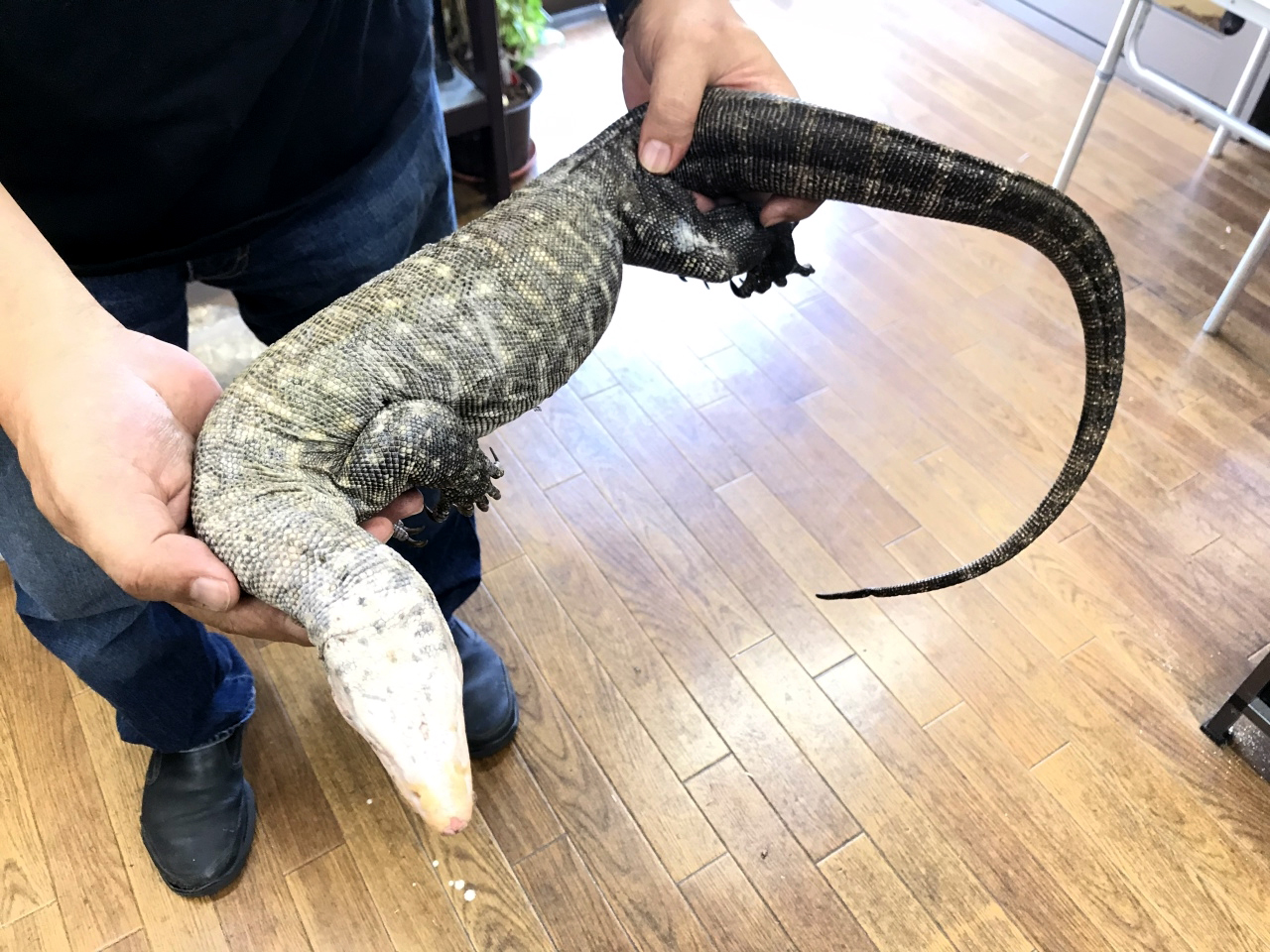 トーチモニター(2)